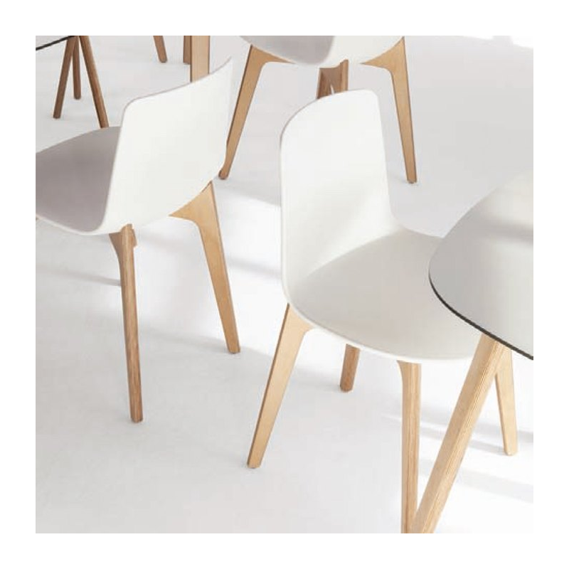 Chaise design en polypropylène et piètement bois Lottus