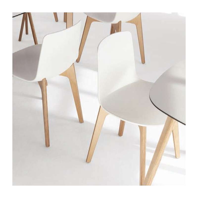 chaise design en polypropyl 232 ne lottus pieds bois enea chaise design en polypropyl 232 ne lottus pieds bois enea