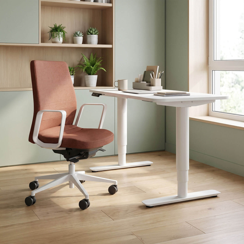 Sitness X Up 20/30 - Bureau électrique réglable en hauteur rectangulaire blanc