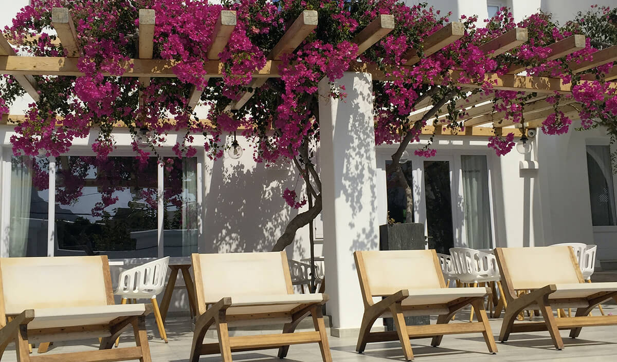 Déco terrasse : la pergola fleurie