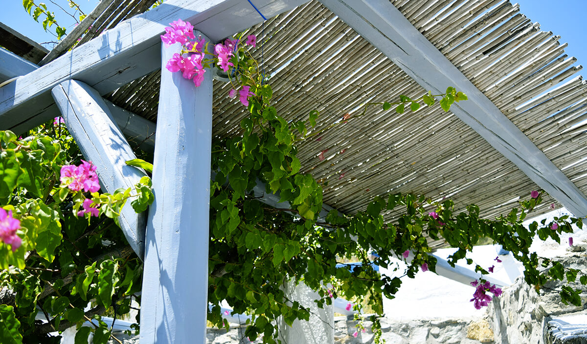 Décorer sa terrasse : le toit naturel style cabane