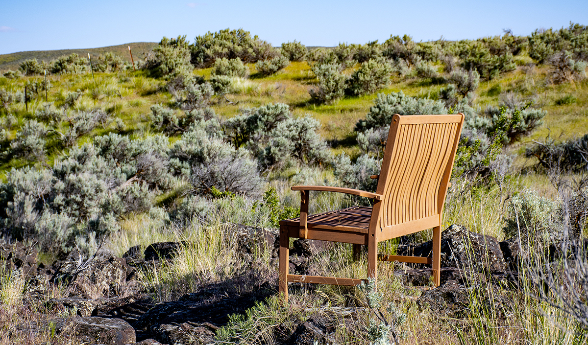 Salon de jardin en bois : décoration extérieure naturelle