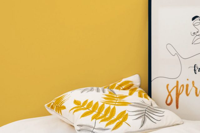 Quelles couleurs choisir pour vos murs en 2025 ?