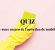Quiz : êtes-vous un pro de l’entretien du mobilier ?