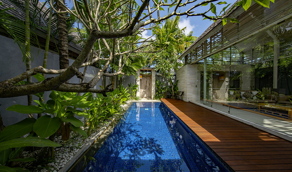 Jardin tropical avec terrasse en bois et piscine