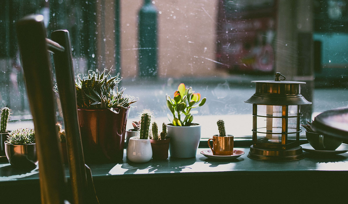 plantes pour décorer son balcon