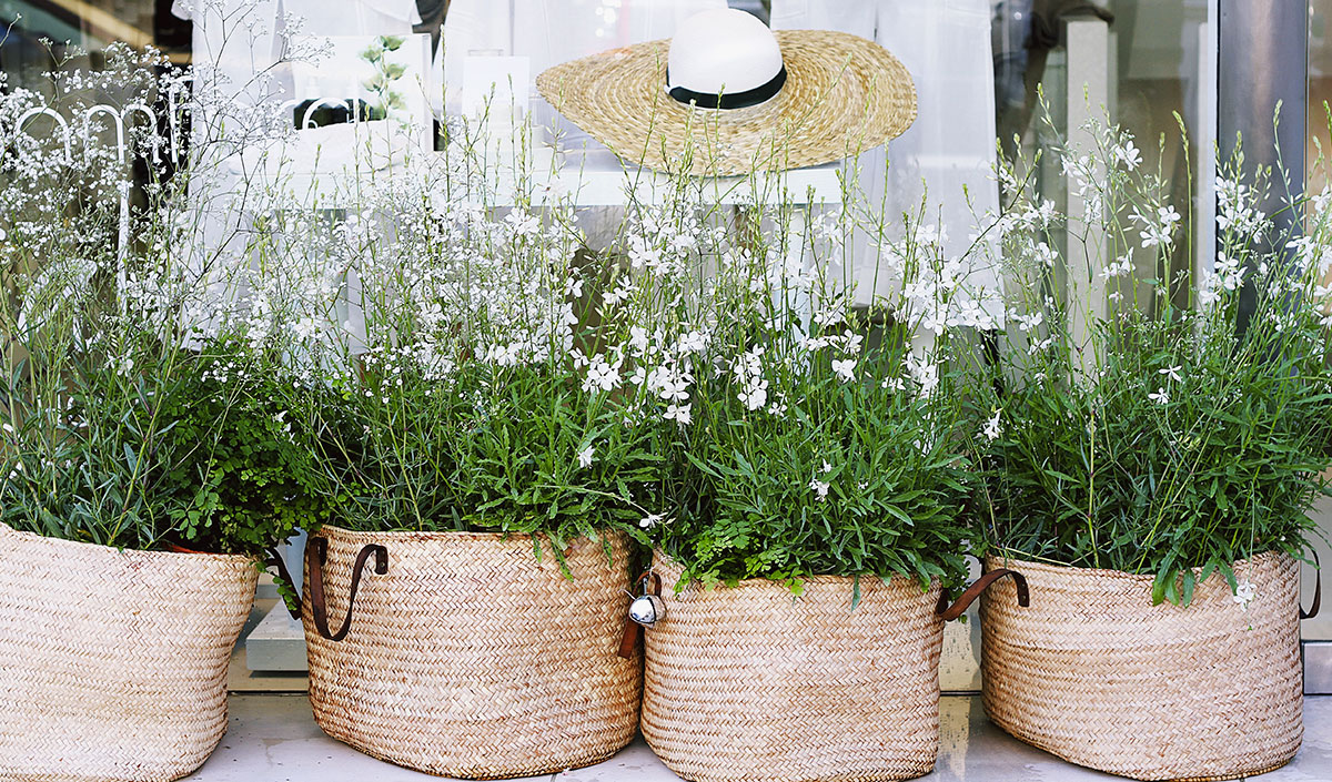 Paniers pour plantes : déco pour balcon