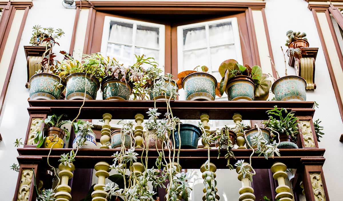 Balcon fleuri : comment le réussir