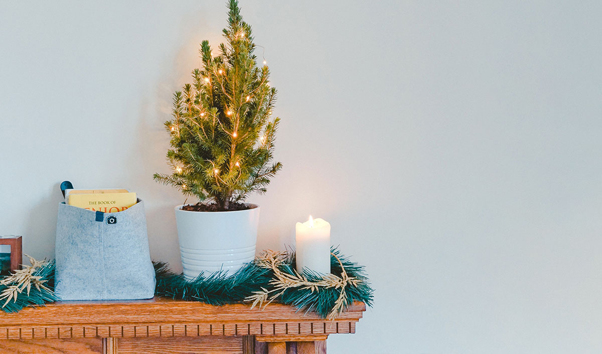 Déco de noël petit espace : sapin en pot