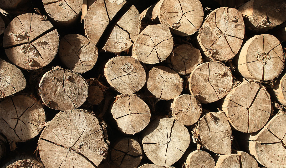 Le bois, un matériau phare dans la fabrication des meubles responsables