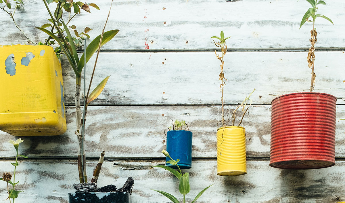 Déco upcycling : les conserves comme pots de fleurs