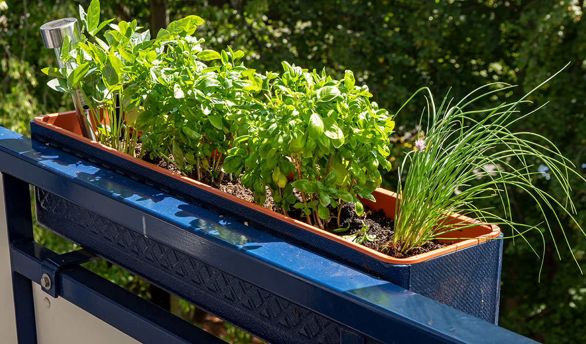 Des jardinières pour une déco naturelle