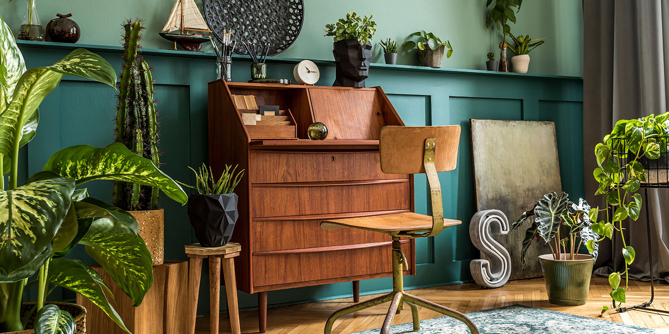 Tendance green : les plantes s'invitent à la maison