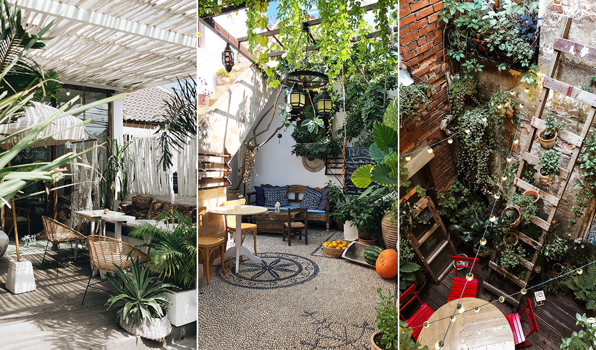 Décoration de jardin champêtre : fleurs et plantes vertes d'extérieur