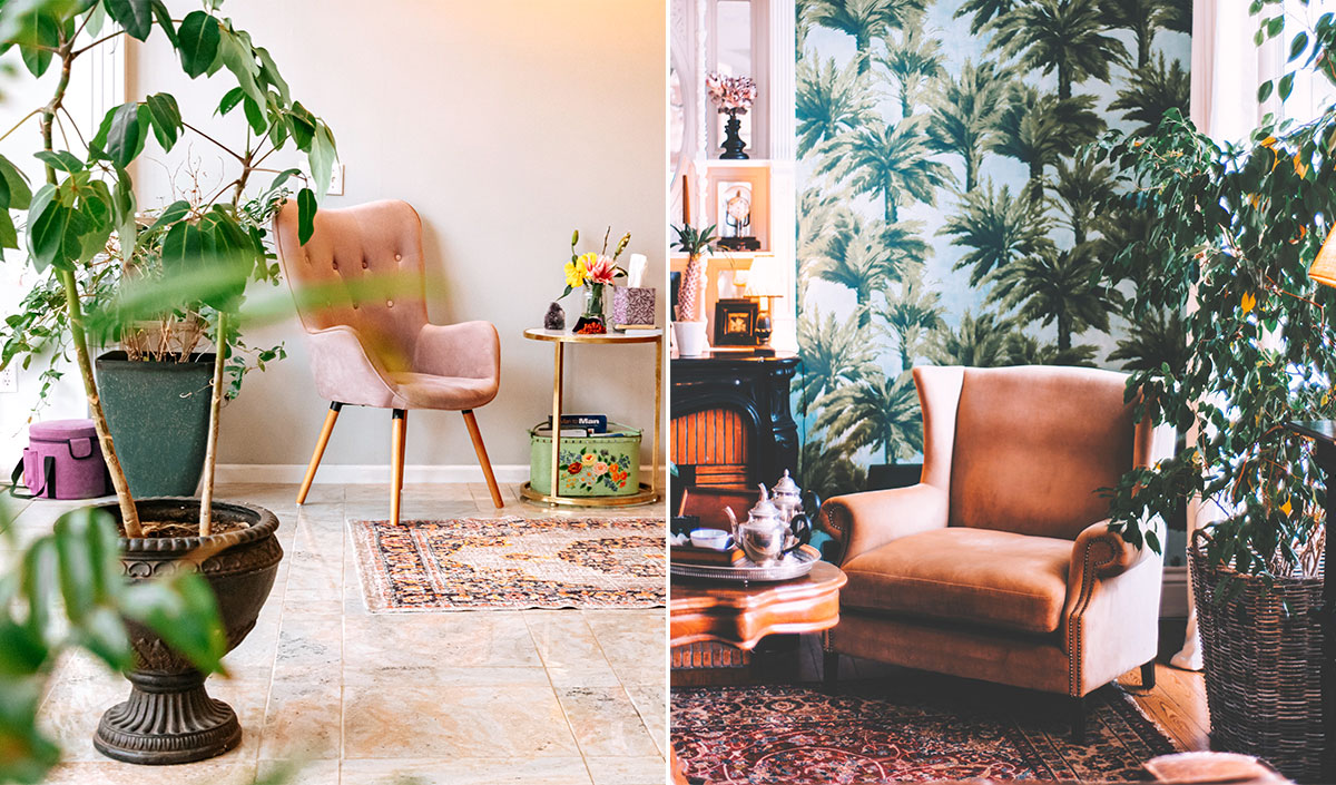 Décoration vintage : les plantes y trouvent leur place !