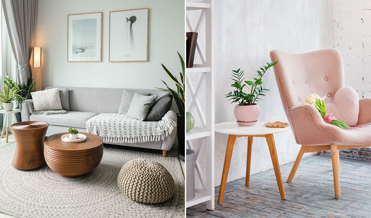 Décoration cocooning : on mise sur des plantes relaxantes