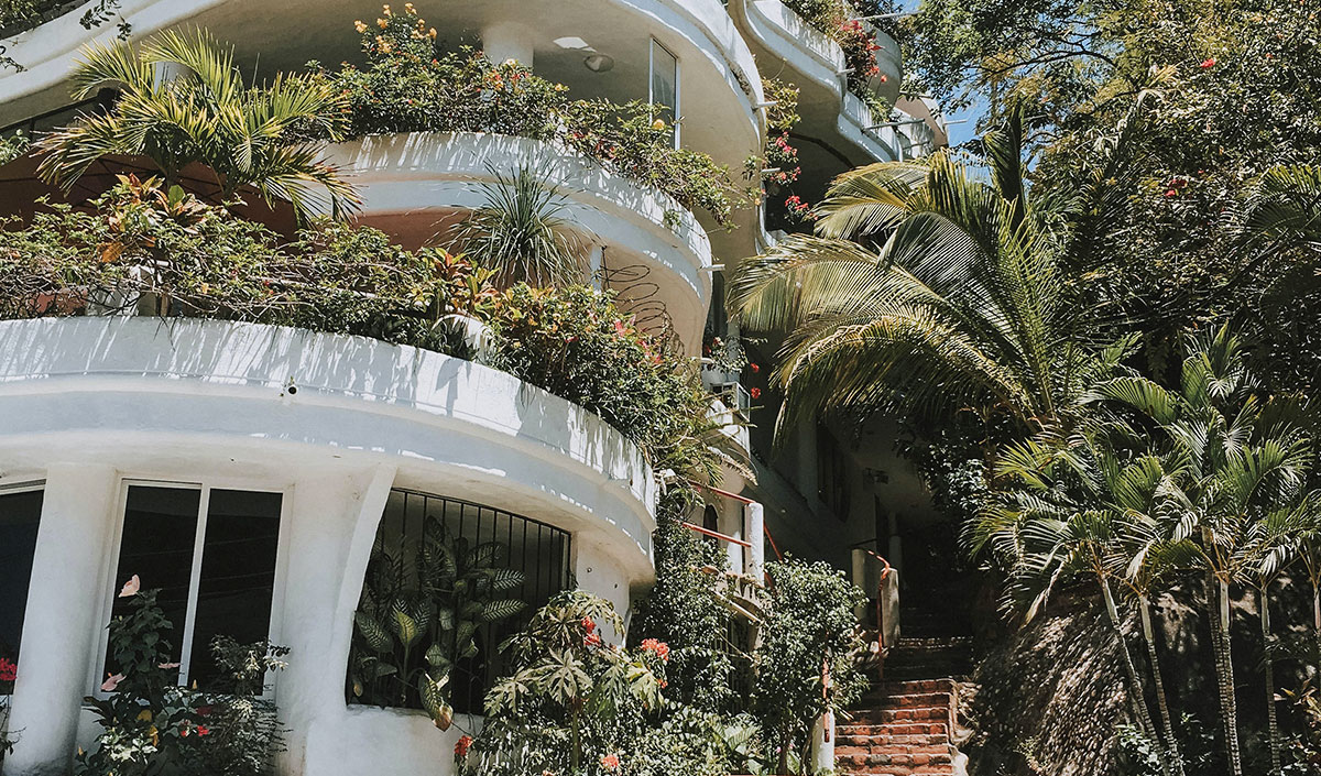 Masquer le vis-à-vis du balcon avec des plantes en abondance