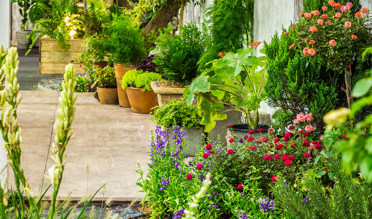 Décoration de jardin de ville : plantes et végétation diverse