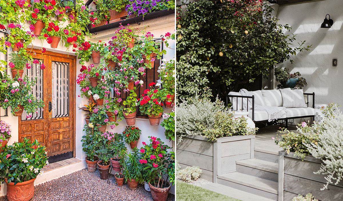 Aménager un jardin de ville apaisant avec un mur végétal 