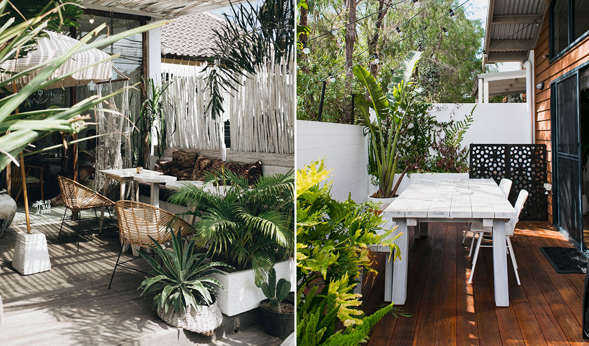 Installer des plantes inadaptées lors de l'aménagement de sa terrasse