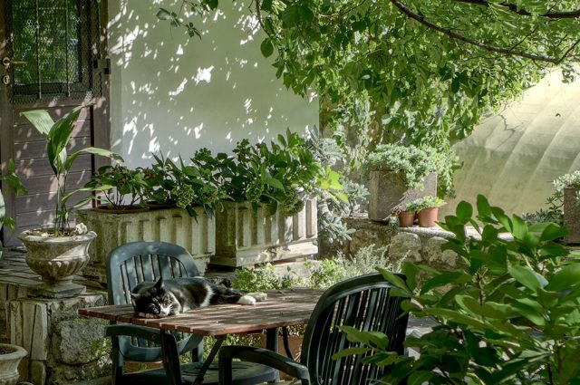 Jardin en ville : comment l’aménager pour en faire un endroit calme et apaisant ?