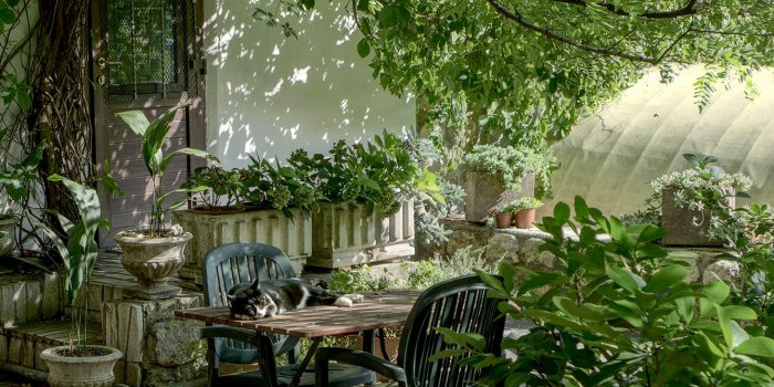 Jardin en ville : comment le transformer en un endroit calme et apaisant ?