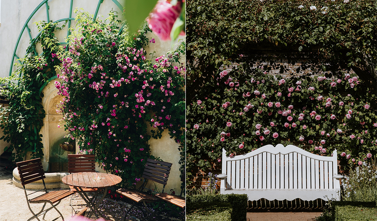 Décorer son jardin avec des roses 