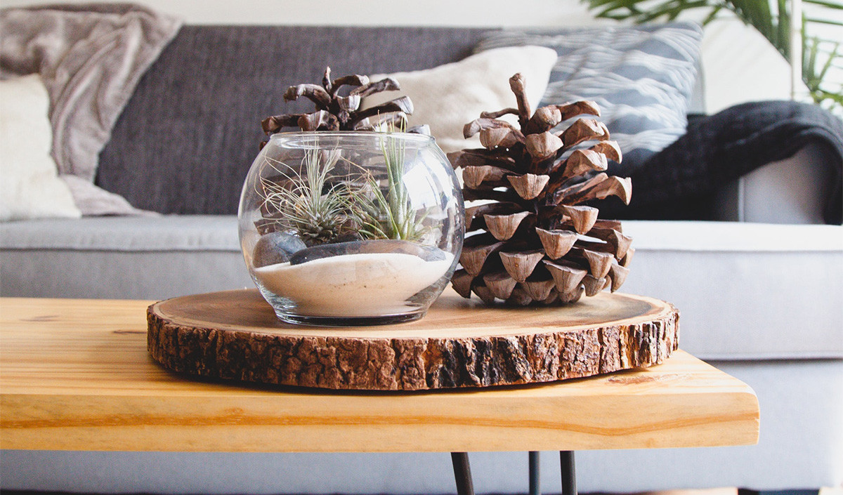 Décoration de table de saison avec rondin de bois et pommes de pin