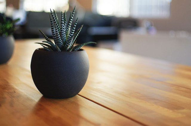 Comment nettoyer une table en bois verni ?