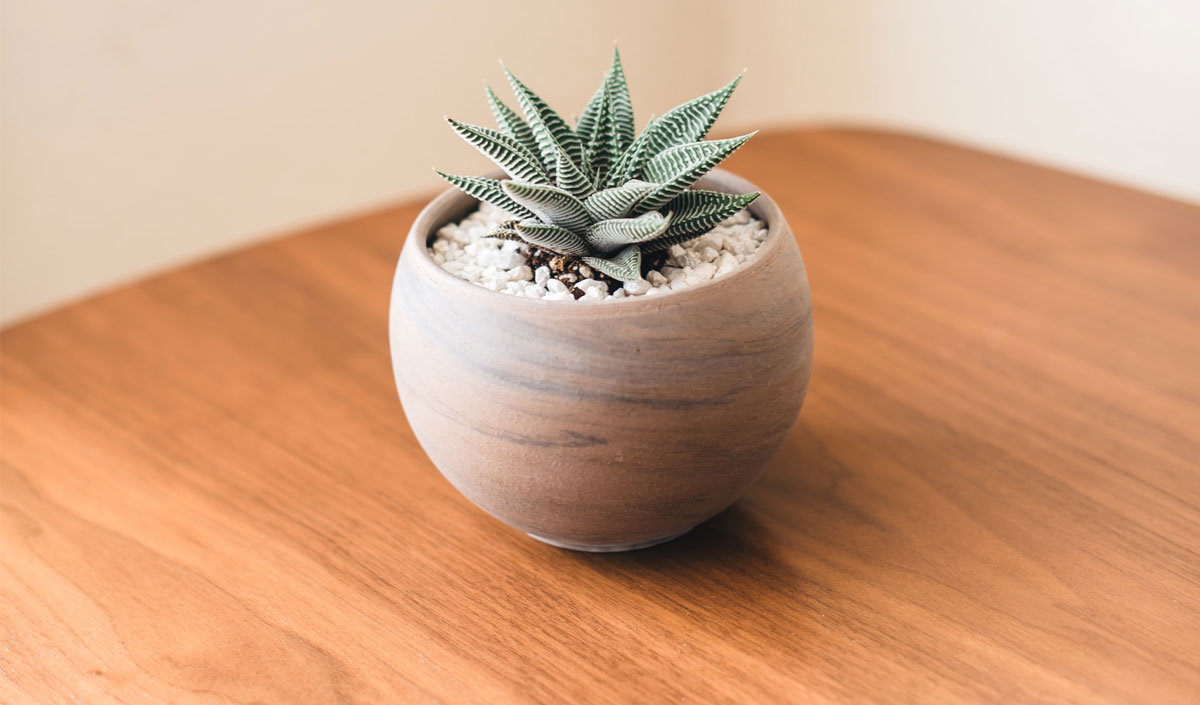 À quoi sert le vernis sur une table en bois ?