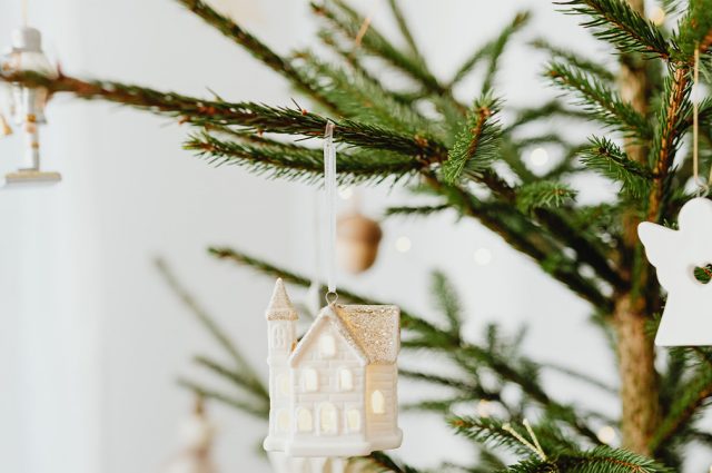 Quelle variété de sapin de Noël choisir pour décorer son séjour ?