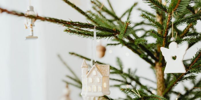 Quelle variété de sapin de Noël choisir pour décorer son séjour ?