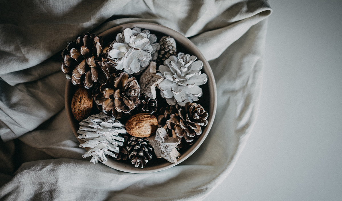 Déco de Noël écolo : récupérer des pommes de pin !