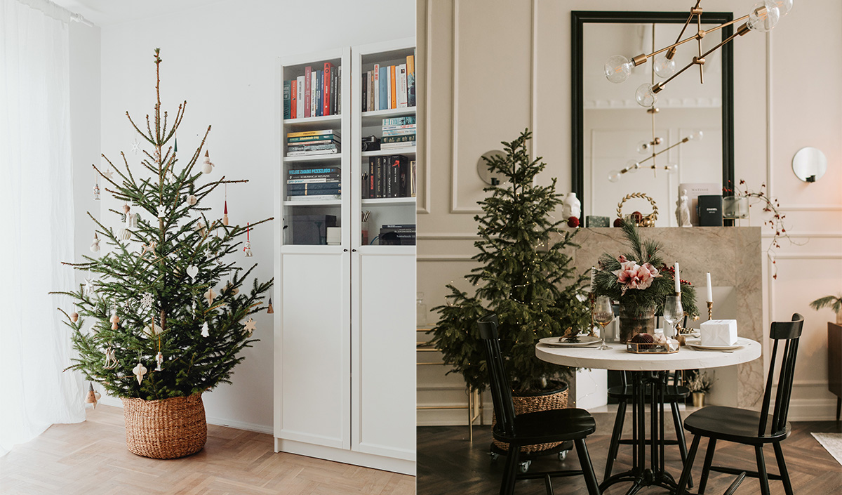 Sous quelle forme choisir son sapin de Noël ? 