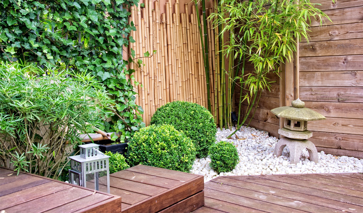 Jardin exotique avec bambou