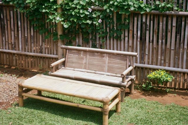 Le bambou : la touche déco exotique du jardin !