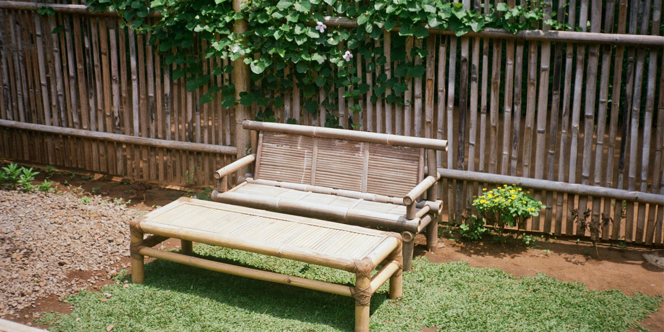Jardin exotique en bambou