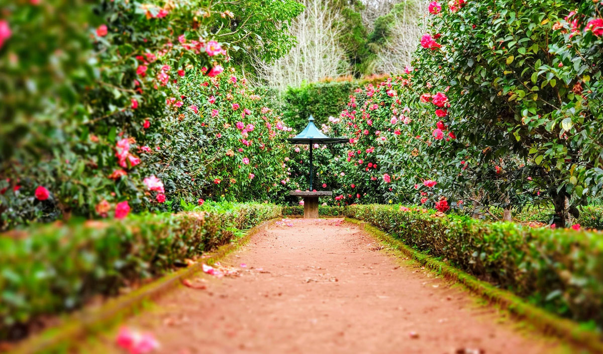 Optimiser la circulation dans un jardin