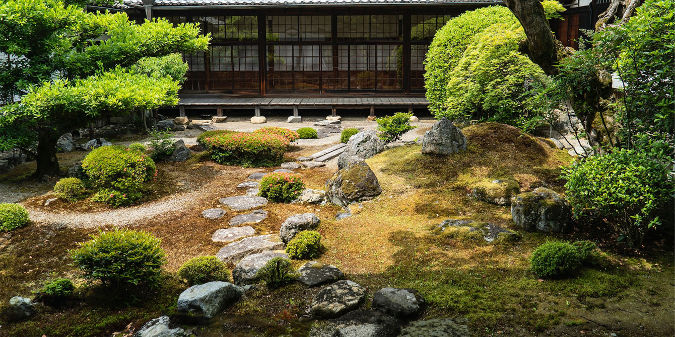 Aménagement et Plantes pour un Jardin Zen / Jardin Japonais réussi