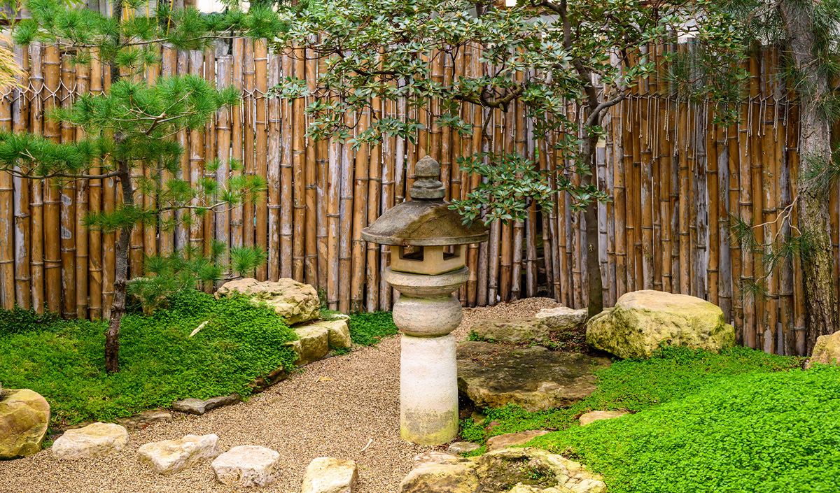 Aménagement et Plantes pour un Jardin Zen / Jardin Japonais réussi