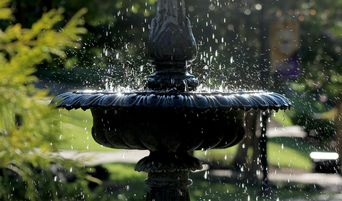 Installer un coin d'eau dans son jardin