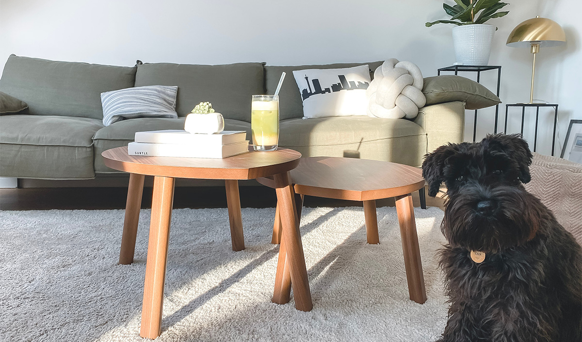 Choisir un tapis lavable quand on a un animal domestique