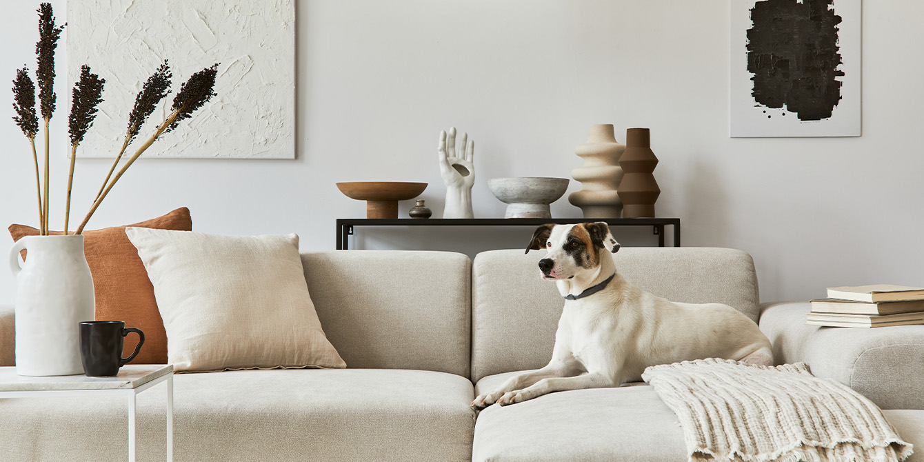 Quels tissus d'ameublement choisir quand on a des animaux ?