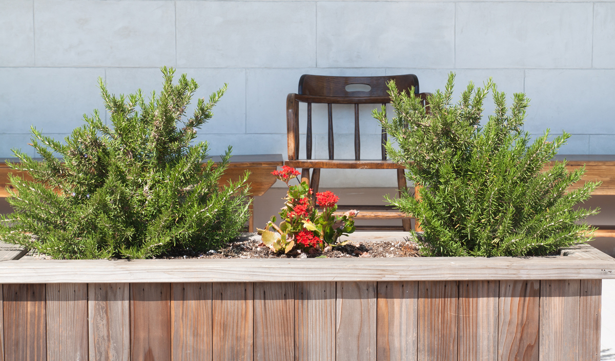 Élégant et abordable, optez pour des bordures de jardin