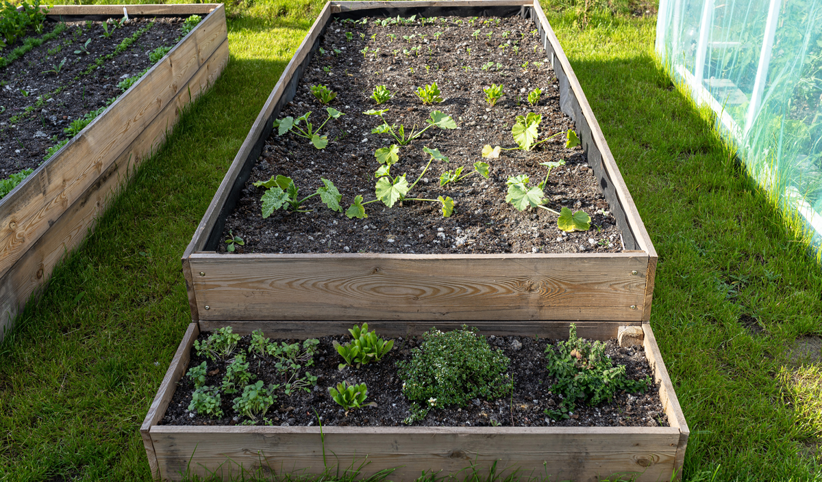 Avoir un potager surélevé