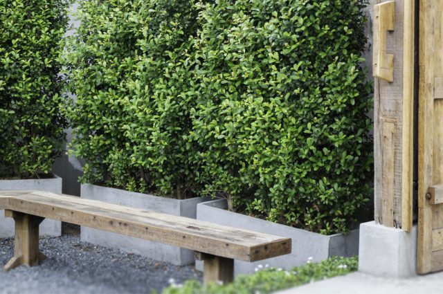 7 astuces pour aménager un jardin à l’abri des regards