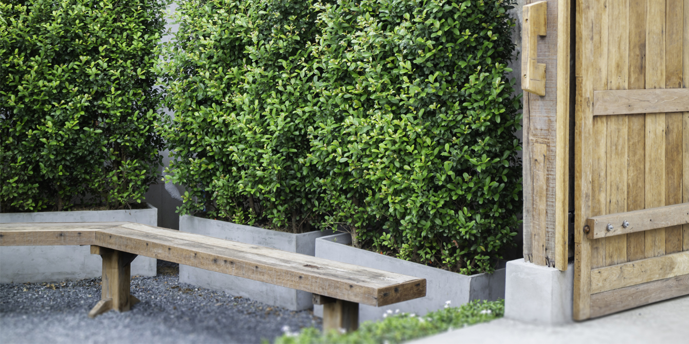7 astuces pour aménager un jardin à l’abri des regards