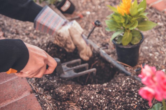 10 astuces pour rénover votre jardin à Paris