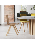 Chaise en bois design