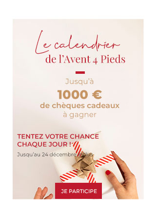 Jeu concours : le calendrier de l'avent 4 pieds.Jusqu'à 1000€ de chèque cadeau à gagner.